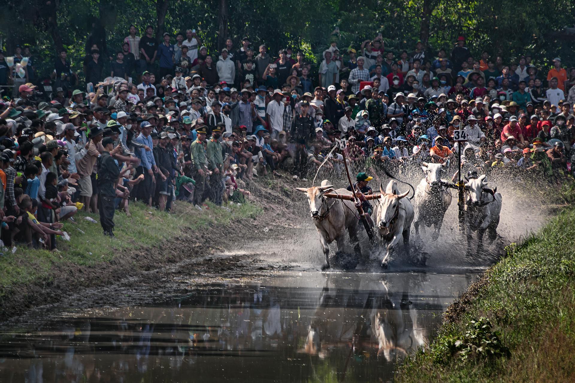 Seize the vibrant spirit of An Giang Travel